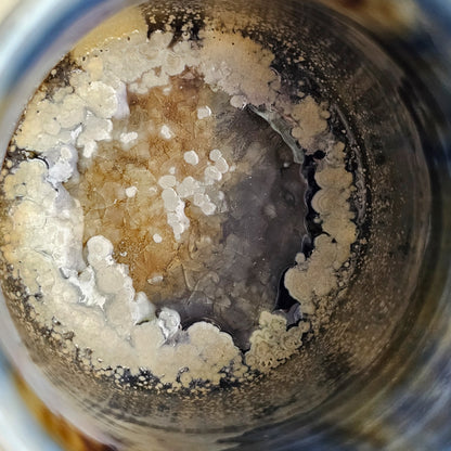 Deep Into Blue | Sipper Cup | 2.89 oz